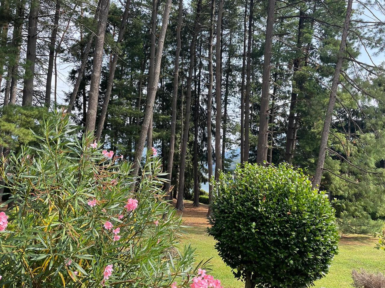Villa Mario - Casa Vacanze ラヴェーナ・ポンテ・トレーザ エクステリア 写真